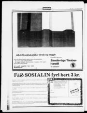 Síða 18