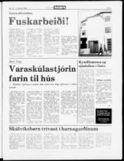 Síða 5