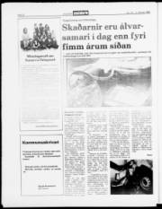 Síða 22