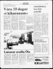 Síða 3