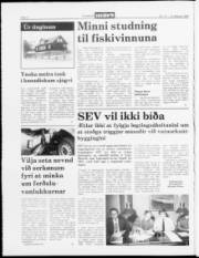 Síða 2
