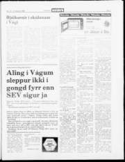Síða 7