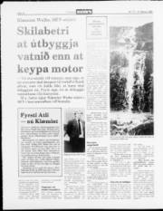 Síða 12