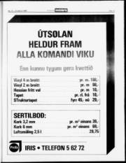 Síða 17