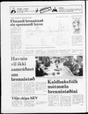 Síða 20