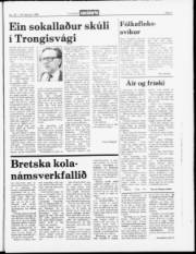 Síða 7