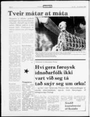 Síða 4