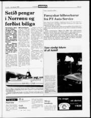 Síða 15