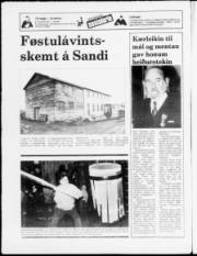 Síða 24
