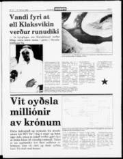 Síða 3