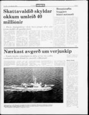 Síða 5