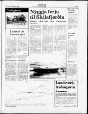 Síða 9