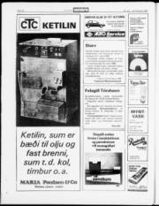 Síða 20