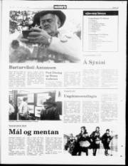 Síða 23