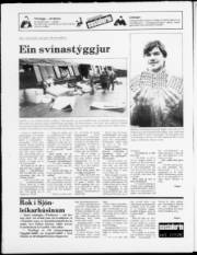Síða 20