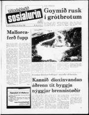 Síða 1