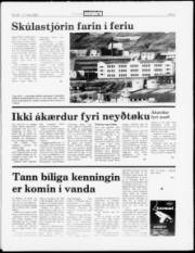 Síða 5