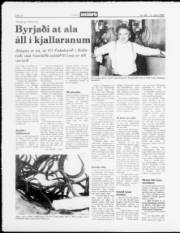 Síða 12