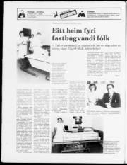 Síða 24
