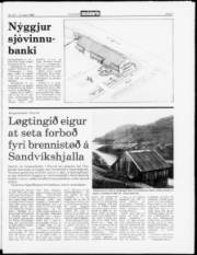 Síða 3