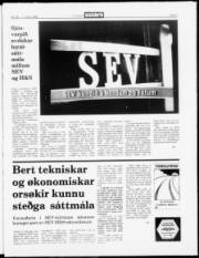Síða 3