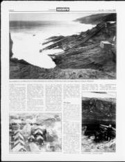 Síða 8