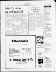 Síða 14