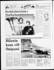 Síða 16