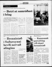 Síða 2