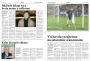 Síða 11