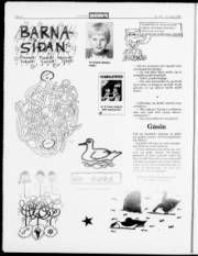 Síða 8