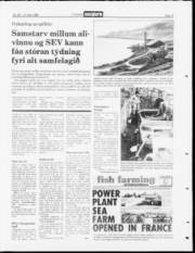 Síða 13