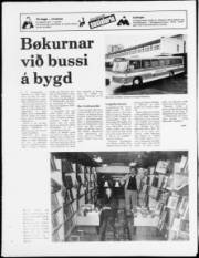 Síða 23
