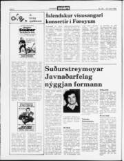 Síða 2