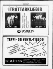 Síða 13