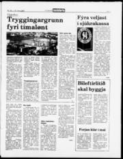 Síða 3