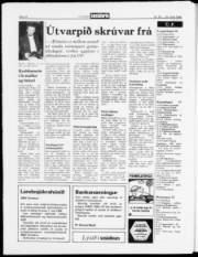 Síða 17