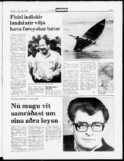 Síða 3