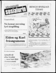 Síða 1