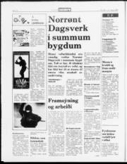 Síða 17