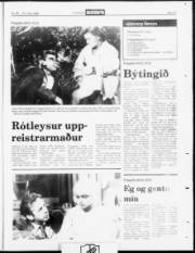 Síða 18