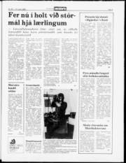 Síða 5