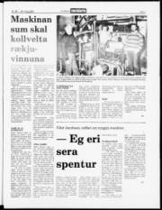 Síða 3