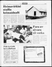 Síða 3