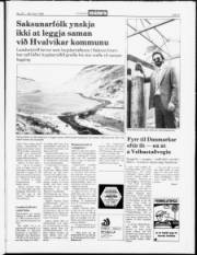 Síða 9