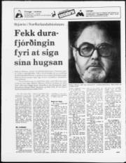 Síða 19