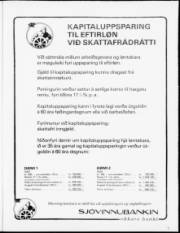 Síða 17