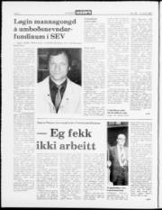 Síða 2