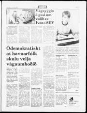 Síða 3