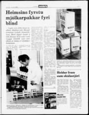 Síða 5